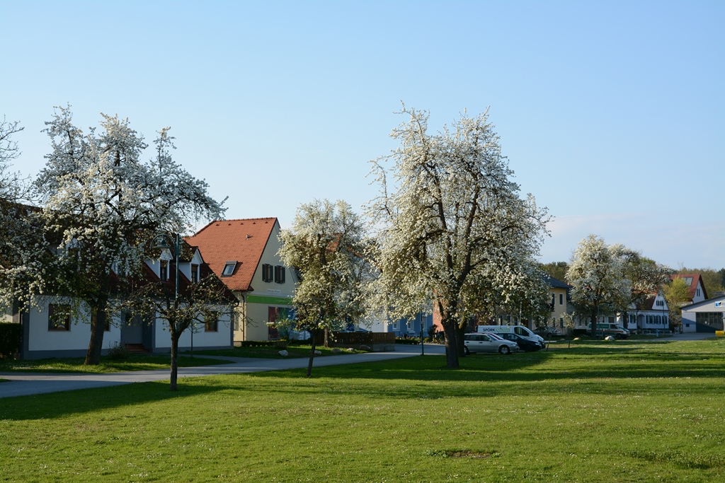 www.ueb.at